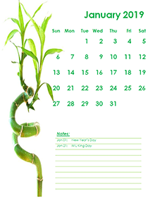 2019 monthly calendar green design template