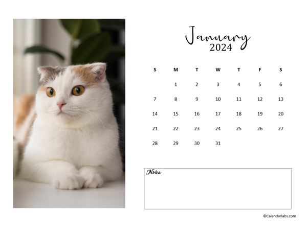 2024 Personalized Calendars Templates Pdf Editable Holidays Calendar 2024