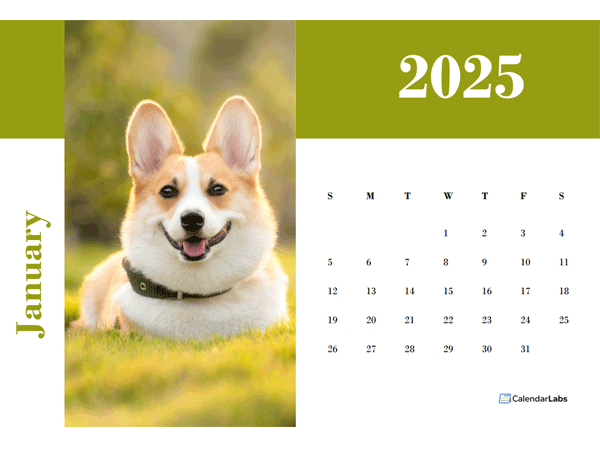 2025 Photo Calendar Landscape Template