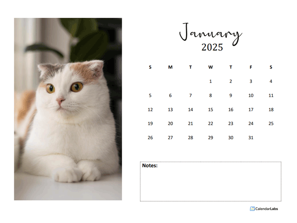 Free 2025 Photo Calendar Template